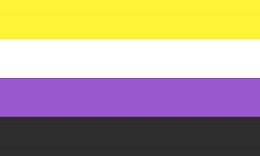 The nonbinary flag